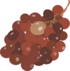 Red Grapes Clip Art