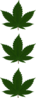 Three Cannabis Leaves 2 Clip Art