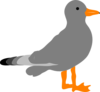 Sea Gull Clip Art