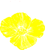 Yellow Poppy Clip Art