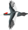 Flying Bird Clip Art