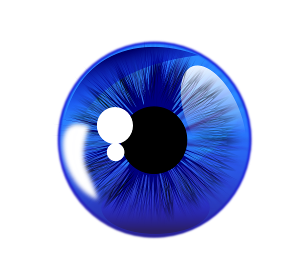 Blue Eye White Back Clip Art at Clker.com - vector clip art online