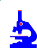 Microscope Blue Red Clip Art