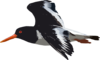 Black Bird Flying Clip Art