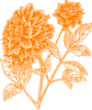 Orange Dahlia Clip Art