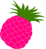 Two Toned Pineapple Clip Art