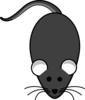 Rat Grey Dark Clip Art
