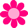 Pink Daisy Flower Clip Art