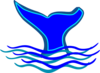 Blue Whale Fin Clip Art