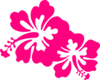 Two Hot Pink Hisbiscus Flower Clip Art