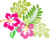 Hibiscus Shower Invite Image Clip Art