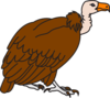 Big Brown Vulture Clip Art