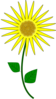 Sunflower Cartoon Clip Art