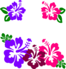 Hibiscus Group Clip Art