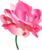 Pink Rose No Shadow Clip Art