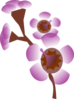Flower Purple Clip Art