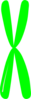 Single Chromosome Clip Art