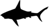Shark Sil Clip Art