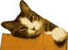Relaxed Cat On Table Clip Art