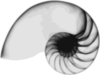 Nautilus Clip Art