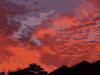Sunset Scene Clip Art