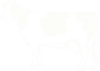 White Cow Clip Art