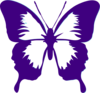Butterfly  Clip Art