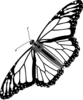 Monarch Butterfly Bw No Shadow Clip Art