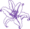 Purple Lilly Clip Art