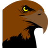 Hawk Head Logo Clip Art