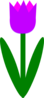 Totetude Purple Tulip Clip Art