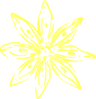Yellow, Daisy, Flower Clip Art