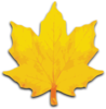 Orange Maple Leaf Clip Art