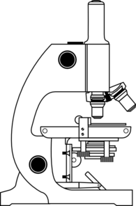 Mikroskop 1 Clip Art at Clker.com - vector clip art online, royalty free &  public domain