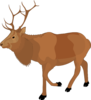 Reindeer 5 Clip Art