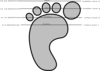 Baby Shoe Size Guide Clip Art