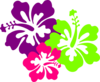 Hibiscus Clip Art