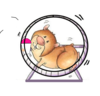 Hamster-wheel Clip Art