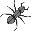 Ant Clip Art