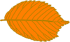 Orange Leaf Clip Art
