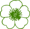 Green Buttercup Flower Clip Art