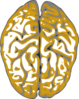 Nmc Brain Clip Art