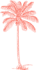Salmon Palm Tree Clip Art