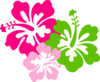 Hibiscus Pink Green Clip Art