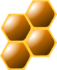 Honeycomb  Clip Art