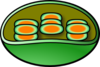 Chloroplast Clip Art