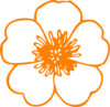 Orange Flower  Clip Art