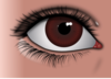 Female Brown Eye Clip Art