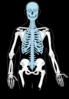 Blank Axial Skeleton Clip Art
