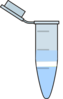 Phases Eppendorf Containing Ring  Clip Art